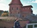 Travelling: Mehmed at Kaunas castle