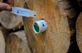 KTU mokslininkų ir urėdų atsakas medienos vagišiams – rąstuose paslėptos „blakės“