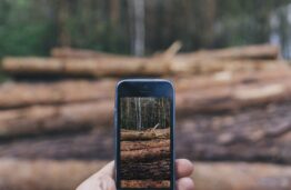Išmanus miškų sektoriaus valdymas: KTU mokslininkų įgyvendinamas tarptautinis projektas įgalins skaitmenines technologijas