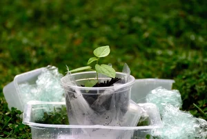 Bioplastikus tiriantys KTU mokslininkai: pasaulį teršia ne plastikas, o žmogus