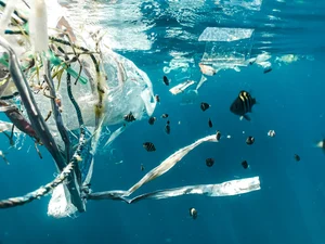 KTU mokslininkės apie mikro ir nano plastiką: mažos dalelės, didelis pavojus