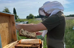 Pasirinkęs lietuvišką domeną bitininkas išpildė vaikystės svajonę