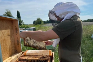 Pasirinkęs lietuvišką domeną bitininkas išpildė vaikystės svajonę