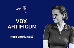 VOX ARTIFICUM | Pokalbis apie meną, kūrybą ieškojimus su Indre Endriukaite