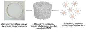 KTU biomedicininių medžiagų laboratorijoje kuriamos medžiagos