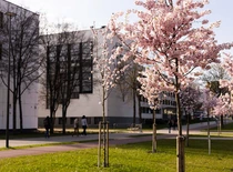 KTU studentų miestelis