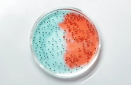 KTU docentė: skaitmenizacija biotechnologijoje – nuo bakterijos iki realaus produkto