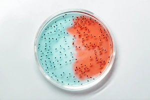KTU docentė: skaitmenizacija biotechnologijoje – nuo bakterijos iki realaus produkto