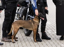 „KTU moto ride“ akimirkos