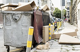 Kai kvapas mieste tampa problema: KTU mokslininkai prisideda prie tarptautinės kvapų matavimo sistemos kūrimo