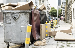 Kai kvapas mieste tampa problema: KTU mokslininkai prisideda prie tarptautinės kvapų matavimo sistemos kūrimo