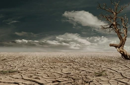 Grėsmė visuomenės sveikatai: KTU mokslininkės ragina ryžtingiau reaguoti į klimato kaitos keliamus pavojus