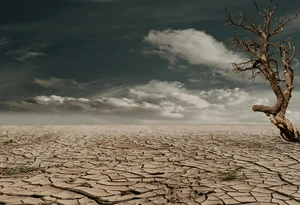 Grėsmė visuomenės sveikatai: KTU mokslininkės ragina ryžtingiau reaguoti į klimato kaitos keliamus pavojus