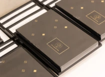 Tarptautinė projektų valdymo diena