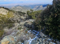 KTU studentė Kipre: studijos, įkvėpusios naujiems sprendimams