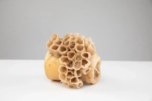 KTU MIDF studentės Gretos &Scaron;altenytės projektas