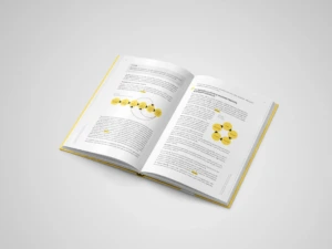 Vadovėlis &bdquo;Žmogi&scaron;kųjų i&scaron;teklių valdymas organizacijoje&ldquo;