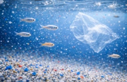 Itin maži, bet keliantys didelę grėsmę: kuo žmonijai pavojingas nanoplastikas?