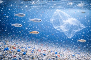 Itin maži, bet keliantys didelę grėsmę: kuo žmonijai pavojingas nanoplastikas?