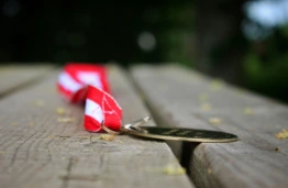 KTU studentui – Europos jaunimo čempionato bronza