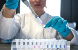 KTU bendruomenės įvertinimas Lietuvos mokslų akademijoje: premija profesoriui ir apdovanojimai studentams