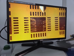 D. Mendelio darbai laboratorijoje