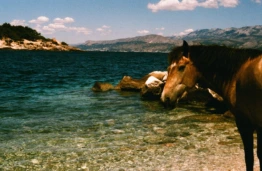 KTU parodoje &ndash; studento sugrįžimas į tėvo gimtinę Kroatijos saloje