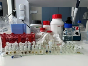 Augalų ekstraktai – KTU doktorantas tiria, kaip juos pritaikyti sveikatos gerinimui