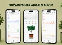 Programėlės turinys