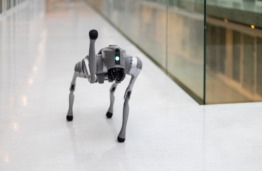 KTU tyrėjų komandoje – šuo-robotas: padės tirti, kaip dirbtinis intelektas sąveikauja su realia aplinka