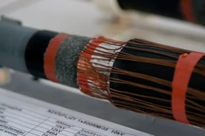 Elektros ir elektronikos fakultetas